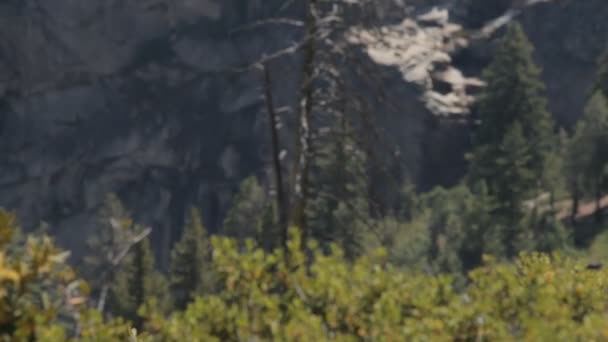 Yosemite nemzetipark, Amerikai Egyesült Államok — Stock videók