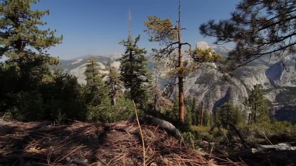 Yosemitský národní park, Spojené státy americké — Stock video