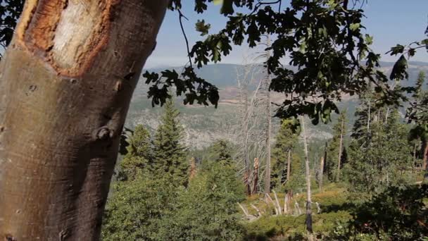 Yosemite Nationalpark, USA — Stockvideo