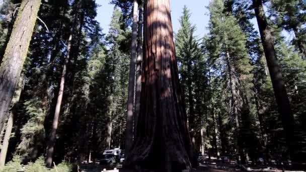 Yosemitský národní park, Spojené státy americké — Stock video