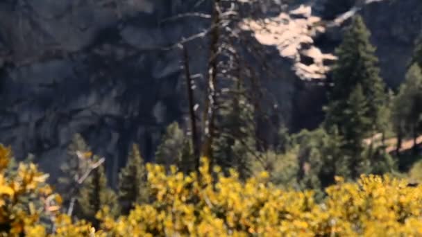 Yosemite Nationalpark, USA — Stockvideo