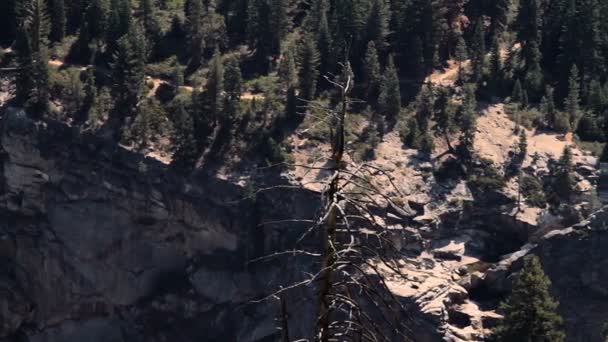 Yosemite Nationalpark, Amerika Birleşik Devletleri — Stok video