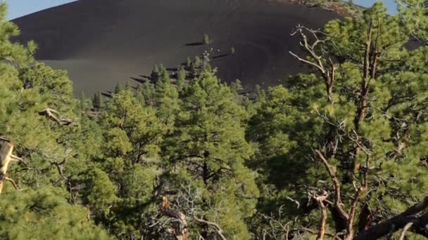 Sunset Crater Monument, Arizon, Verenigde Staten — Stockvideo