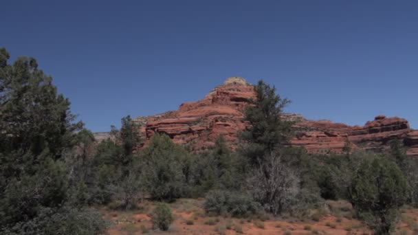 Red Rocks på sidan Springs Desert, Arizona, Usa — Stockvideo