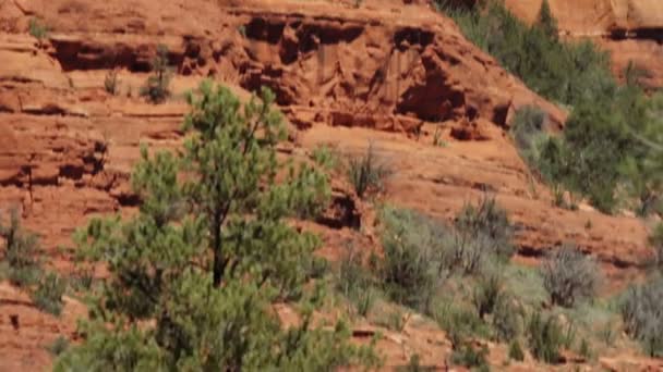 Rocas Rojas en Page Springs Desert, Arizona, EE.UU. — Vídeo de stock