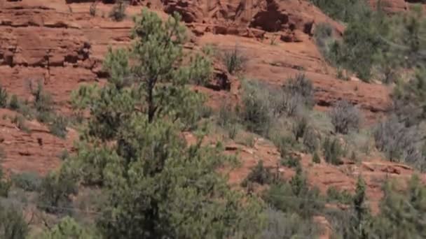 Rocas Rojas en Page Springs Desert, Arizona, EE.UU. — Vídeo de stock