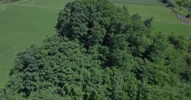 4K Aerial, Vuelo Alrededor de Aera Mont De La Coche, Francia - versión nativa — Vídeos de Stock