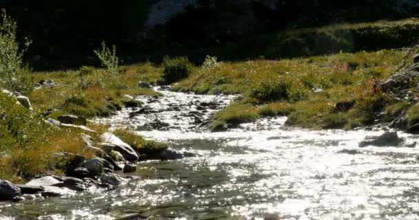 4k, Flussbett bei rifugio scarfiotti, Italien — Stockvideo
