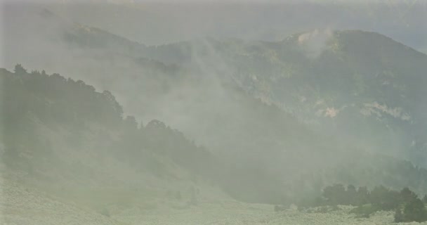 Fogbank and mist in Vallon de Caralaite, Frankrijk — Stockvideo