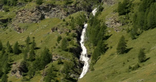 Waterval, westelijke Alpen, Frankrijk-gegradeerde en gestabiliseerde versie. Kijk ook voor het inheemse materiaal, rechtstreeks uit de camera. — Stockvideo