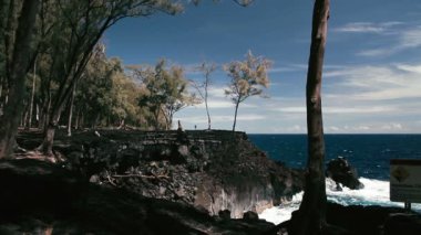 1080p, mackenzie state park, hawaii plajda
