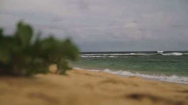 1080p, plaj, hawaii