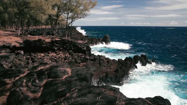 1080p, stranden, hawaii — Stockvideo