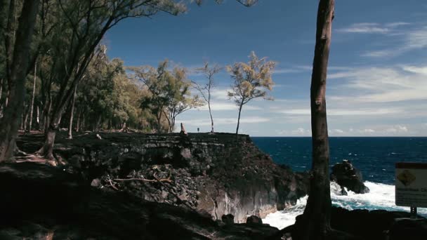 1080p, Playa en el Parque Estatal MacKenzie, Hawai — Vídeos de Stock