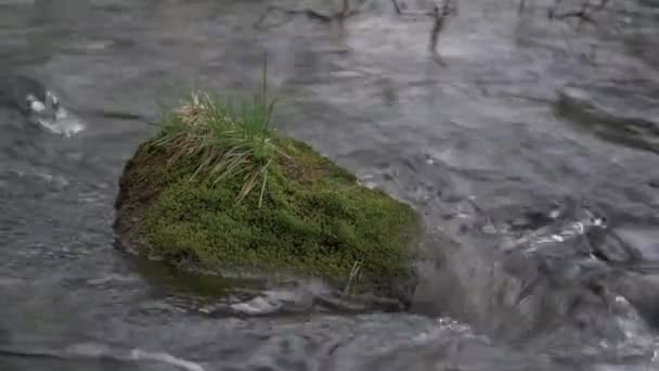 Oczywiście strumienia i falujący wody rzek, strumieni — Wideo stockowe