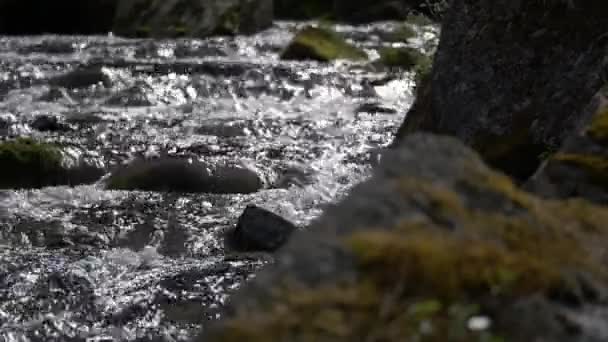 Stream ders ve dalgalanan su, nehirler, akarsu — Stok video