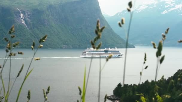 Lyxkryssare på fjorden, Norge — Stockvideo