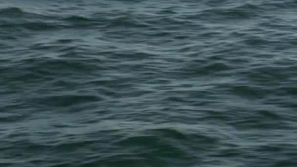 Různé oceánu vlny — Stock video