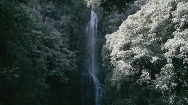 1080p, Hawaii şelale