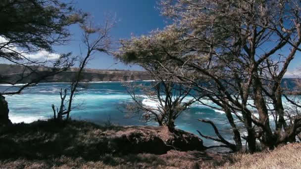 1080p, światy najlepszych i najpiękniejszych plaż na świecie na oahu, kaui, big island i maui — Wideo stockowe