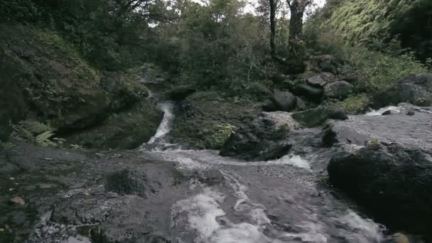 1080p, cascada en Hawaii — Vídeo de stock