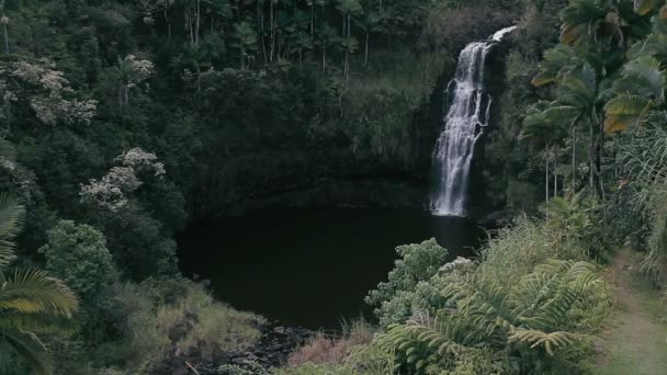 1080p, cascada en Hawaii — Vídeo de stock