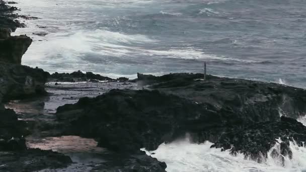 1080p, Shore Line, Coast Line, Hawaii con olas grandes — Vídeos de Stock