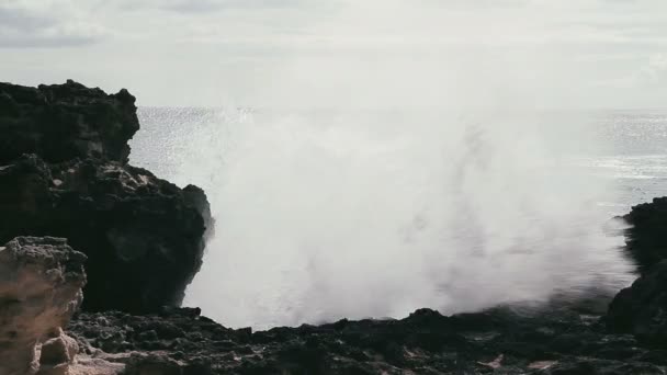 1080p, hawaii büyük dalgalar ile sahil hattı, sahil şeridi — Stok video