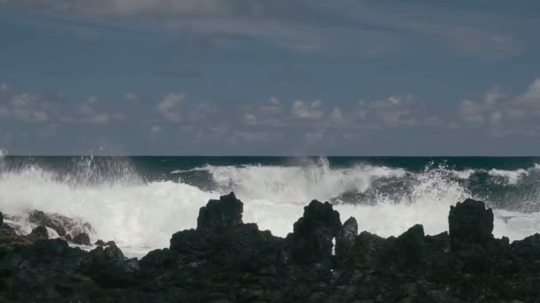 1080p, hawaii büyük dalgalar ile sahil hattı, sahil şeridi — Stok video