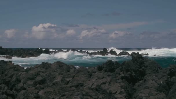 1080p, Shore Line, Coast Line,  Hawaii with big waves — Stock Video