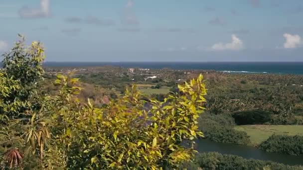 1080 p、マウイ島、オアフ島、ハワイ島、カウアイ島を含むハワイの風景. — ストック動画