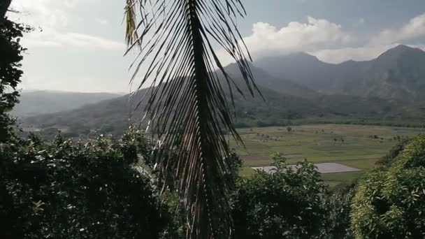 1080p, landschappen van Hawaï, met inbegrip van kauai, maui, oahu en grote eiland. — Stockvideo