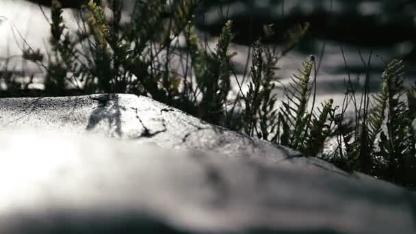 1080p, landschappen van Hawaï, met inbegrip van kauai, maui, oahu en grote eiland. — Stockvideo