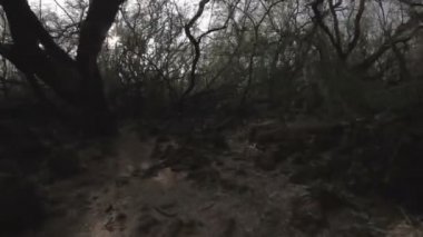1080p, Hawaii, maui, oahu, büyük ada ve kauai gibi manzaralar.