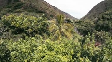 1080p, Hawaii, maui, oahu, büyük ada ve kauai gibi manzaralar.