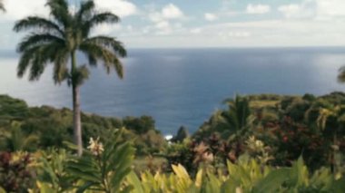 1080p, Hawaii, maui, oahu, büyük ada ve kauai gibi manzaralar.