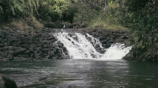 1080p, Teil des waialeale Wasserfalls auf Hawaii — Stockvideo