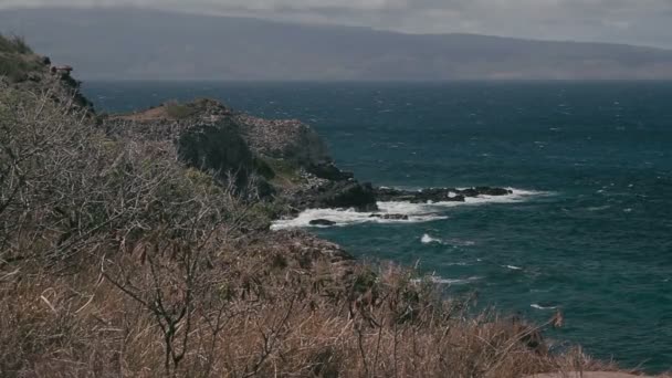 1080p, a part mentén, a partvonal, a hawaii a nagy hullámok — Stock videók