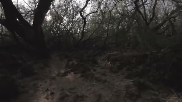 1080p, landschappen van Hawaï, met inbegrip van kauai, maui, oahu en grote eiland. — Stockvideo