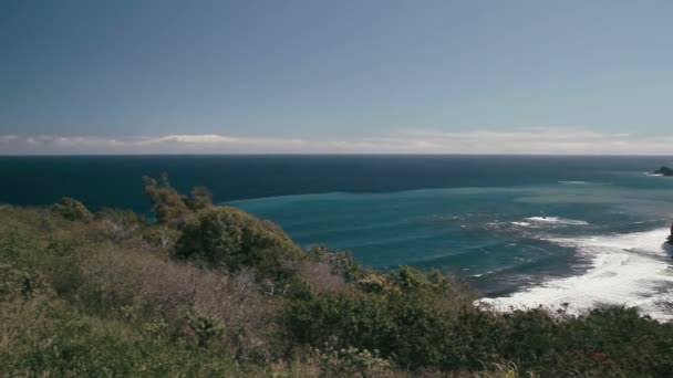 1080p, a part mentén, a partvonal, a hawaii a nagy hullámok — Stock videók