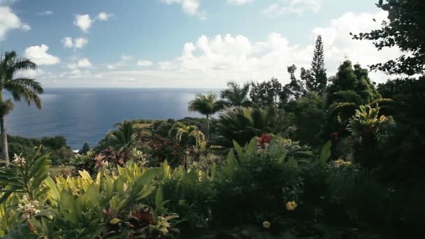 1080p, Paisajes de Hawaii, incluyendo Maui, Oahu, Big Island y Kauai . — Vídeo de stock