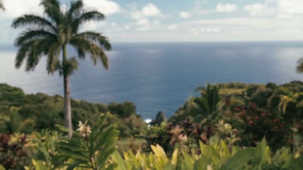 1080p, Paisagens do Havaí, incluindo Maui, Oahu, Big Island e Kauai . — Vídeo de Stock