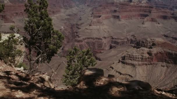 Full-HD-Aufnahme der Grand Canyon — Stockvideo