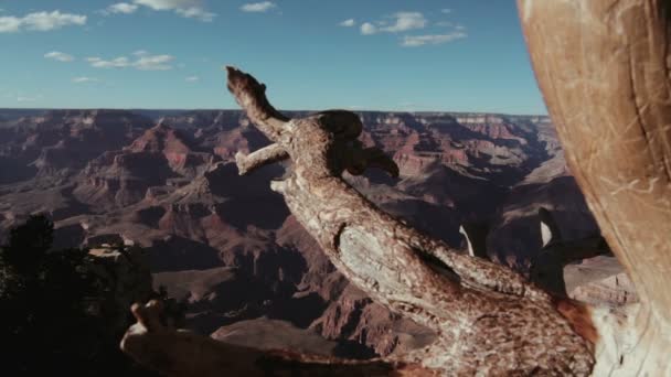 Plan FullHD du Grand Canyon — Video