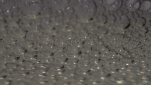 1080p, gouttes d'eau abstraites, bulles, macro — Video