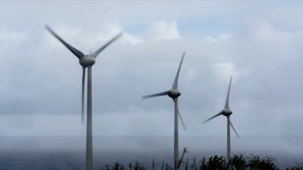 1080p, Molinos de viento, Turbinas eólicas, Generadores eólicos — Vídeo de stock