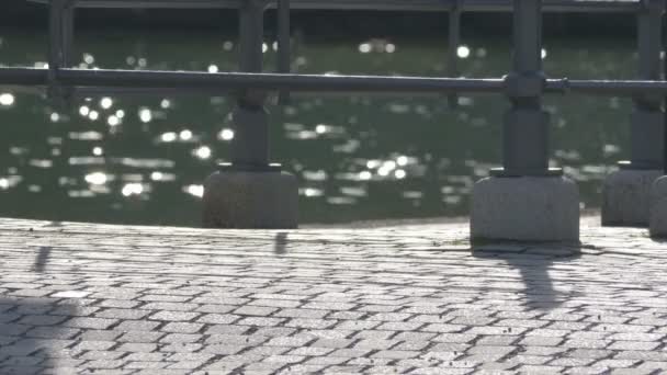 Sparkles and glitters on a pier — Stock Video