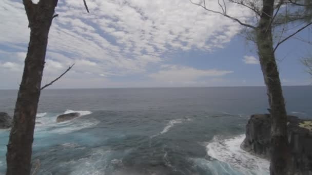 Küste, ile de la Réunion — Stockvideo