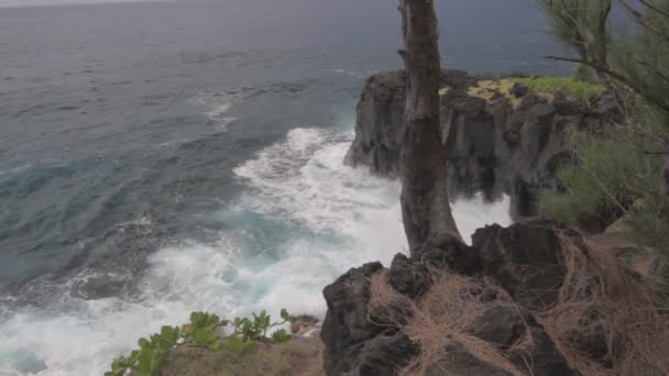 Linii brzegowej, Ile de la Reunion — Wideo stockowe