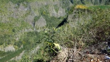 De Cilaos Sirki, Ile De La Reunion